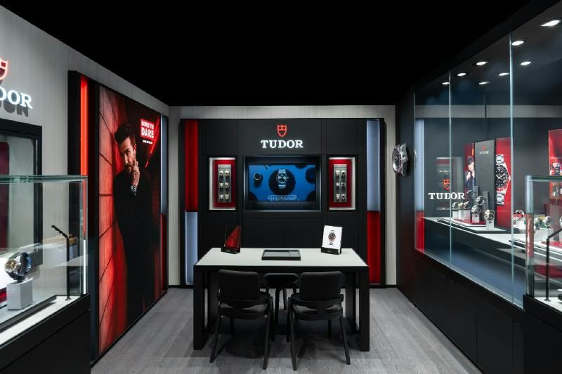 Tudor - Image 1